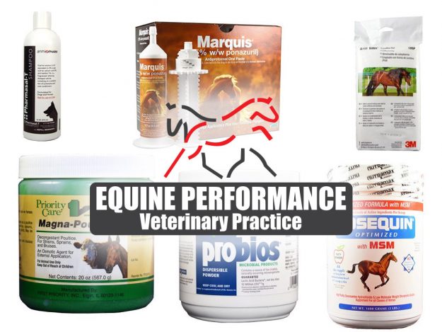 equine-performance-veterinary-practice-post-345675