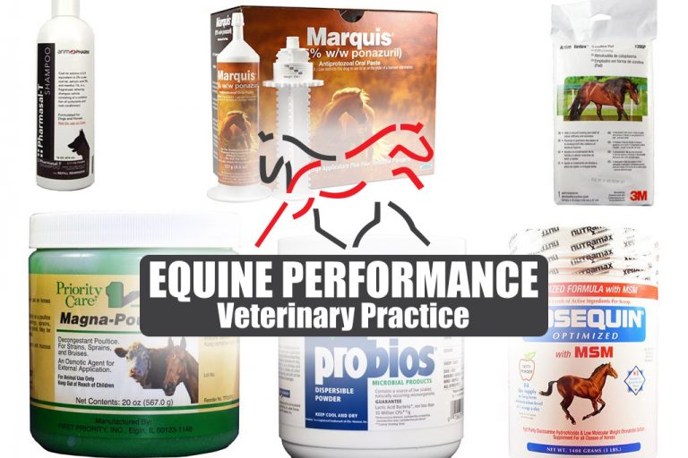 equine-performance-veterinary-practice-post-345675