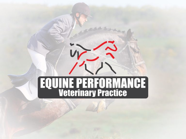 Equine Performance Veterinary Practice Veterinarian for Sport Horses