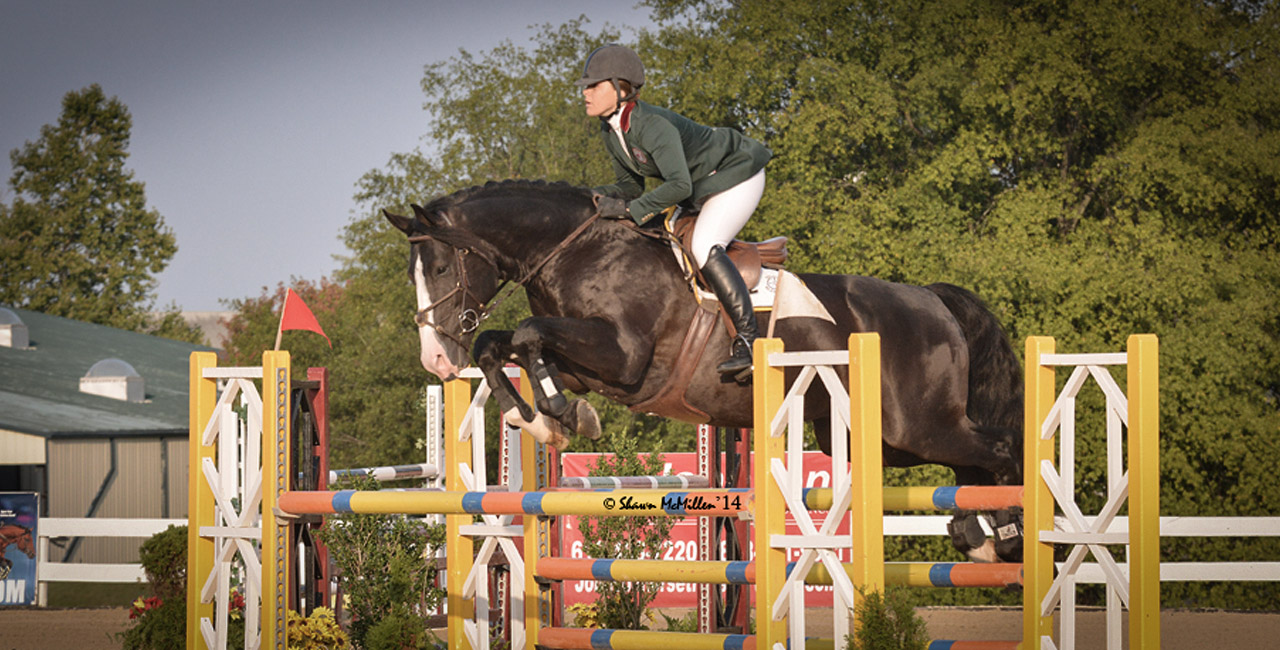 Equine Performance Veterinary Practice Veterinarian for Sport Horses